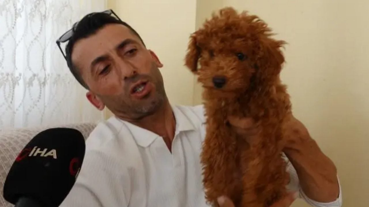 Foto - Otobüste unutulan şey şaşırttı! Oyuncak sandı canlı çıktı!