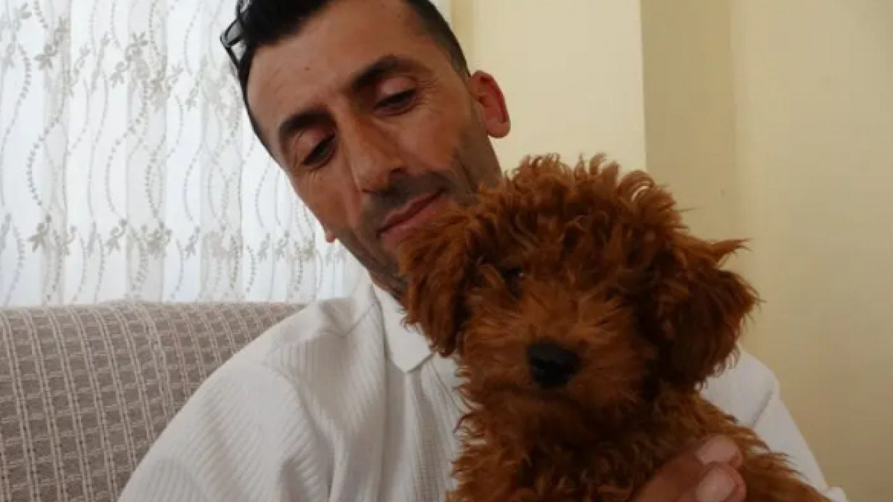 Foto - Otobüste unutulan şey şaşırttı! Oyuncak sandı canlı çıktı!