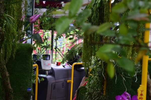 Foto - Otobüsü ormana çevirdiler!