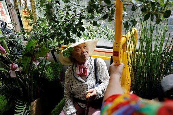 Foto - Otobüsü ormana çevirdiler!