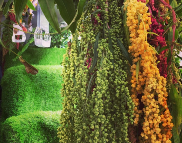 Foto - Otobüsü ormana çevirdiler!