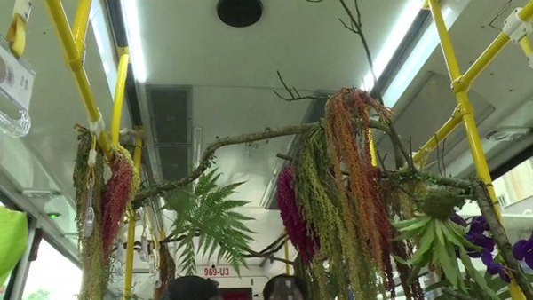 Foto - Otobüsü ormana çevirdiler!