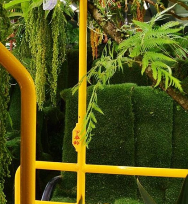 Foto - Otobüsü ormana çevirdiler!