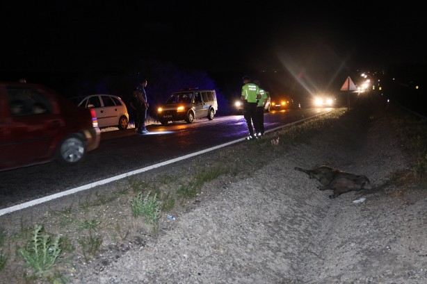 Foto - Otomobil domuza çarptı 4 yaralı