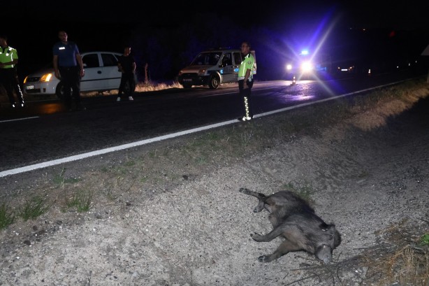 Foto - Otomobil domuza çarptı 4 yaralı