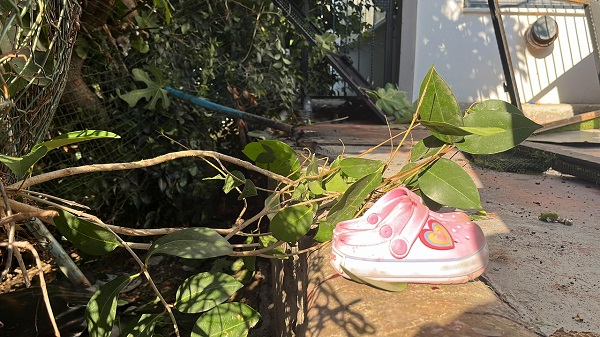 Otomobil evin bahçesine daldı: 2 yaralı