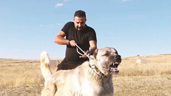 Foto - Otomobil fiyatına kangal!