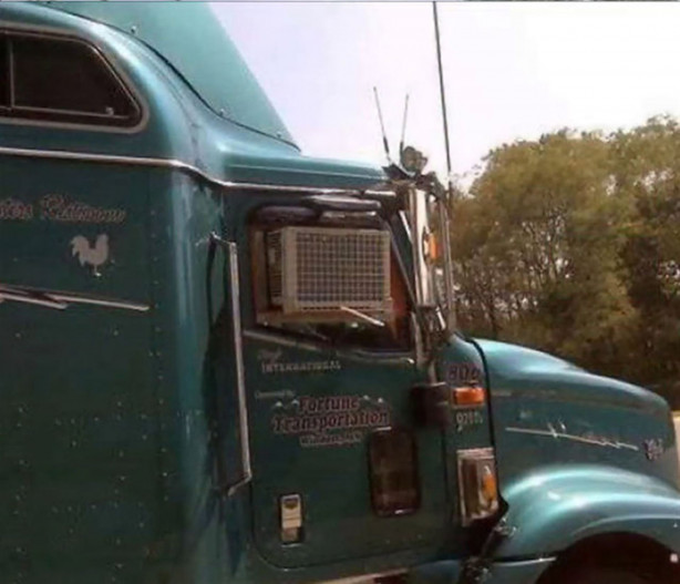 Foto - Otomobil hasarlarına komik çözümler