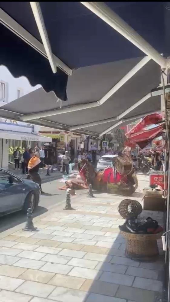 Foto - Otomobilden ürken deve ortalığı birbirine kattı