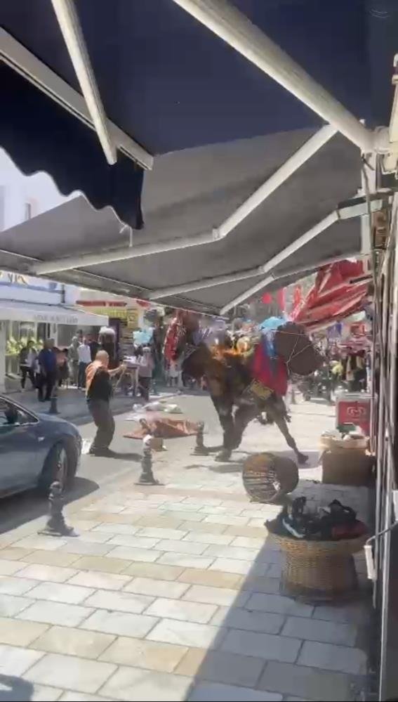 Foto - Otomobilden ürken deve ortalığı birbirine kattı