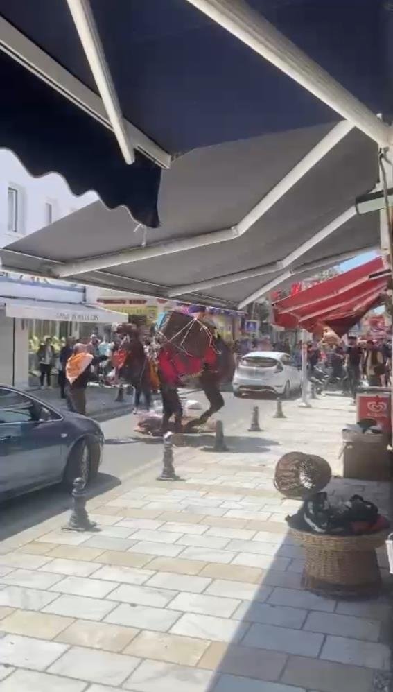 Foto - Otomobilden ürken deve ortalığı birbirine kattı