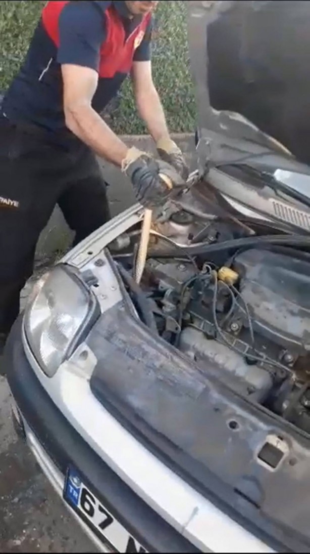 Foto - Otomobilin motorundan çıktı, görenler küçük dilini yuttu