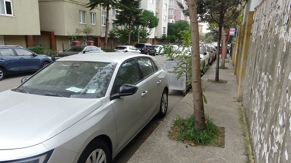 Foto - Otopark krizinin çözümü isteniyor! Maltepe Belediyesi isyan ettirdi