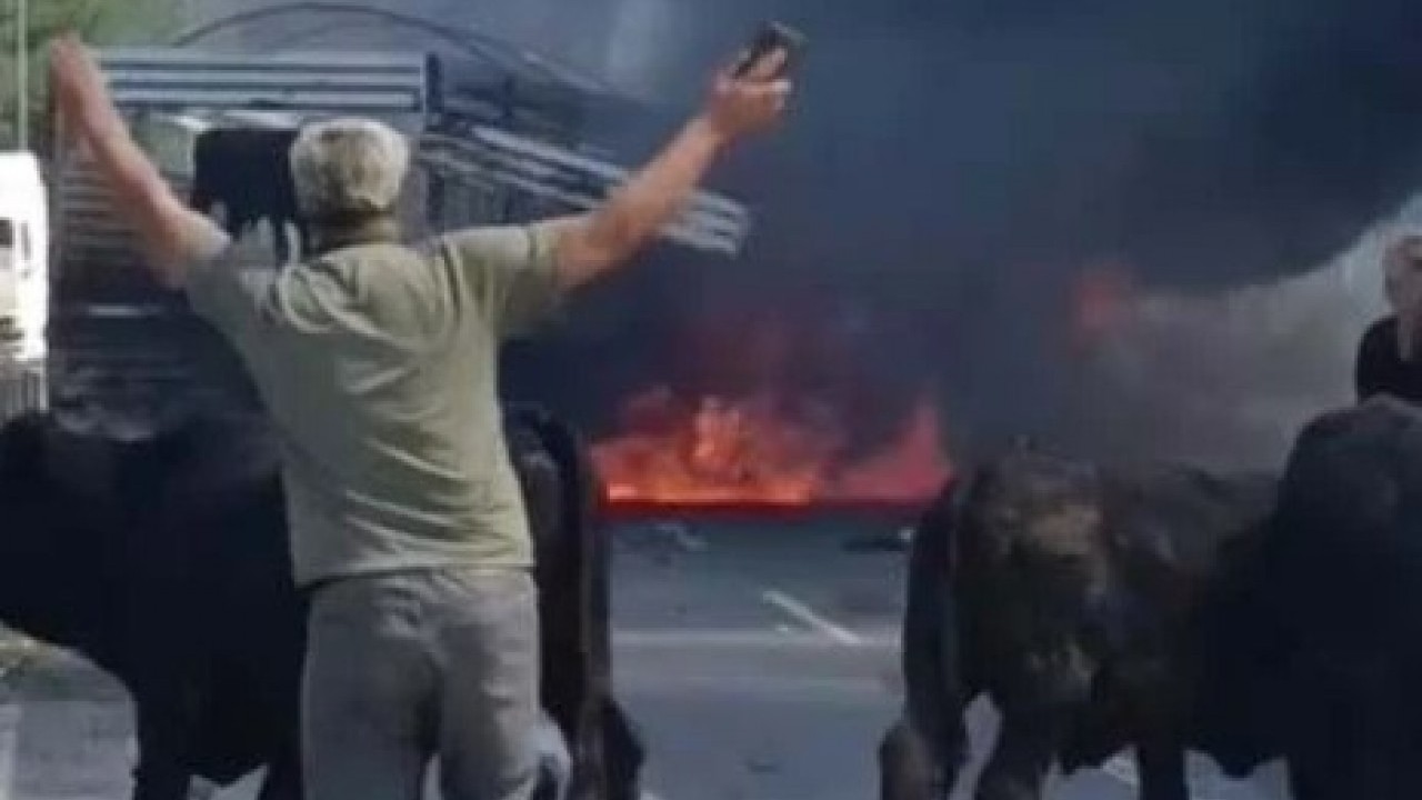 Foto - Otoyolda yangın paniği! Sürücü hayvanları son anda kurtardı