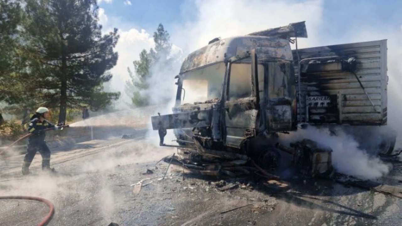Foto - Otoyolda yangın paniği! Sürücü hayvanları son anda kurtardı