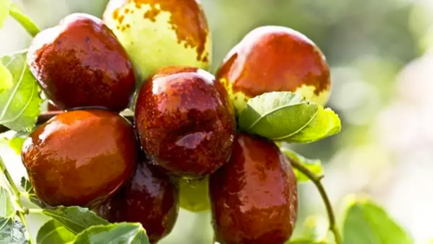 Foto - Öyle bir faydası çıktı ki, pazarcılar duyarsa zam yağmuruna tutar! Bu şeyin bir kaşığının bile yararı saymakla bitmiyor