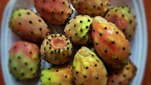 Foto - Öyle bir faydası var ki...