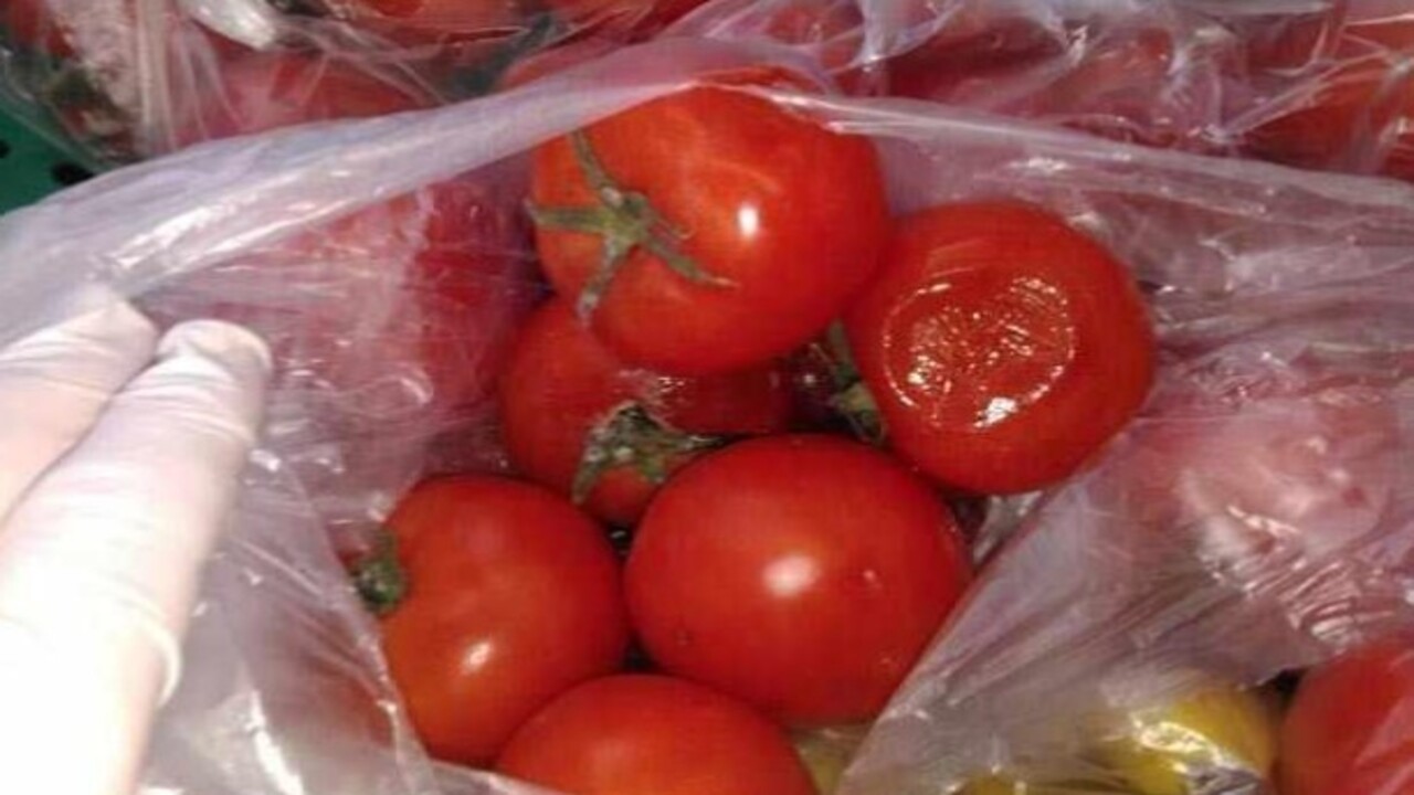 Foto - Öyle bir işe yarıyor ki..! Çürüyen domatesleri sakın çöpe atmayın