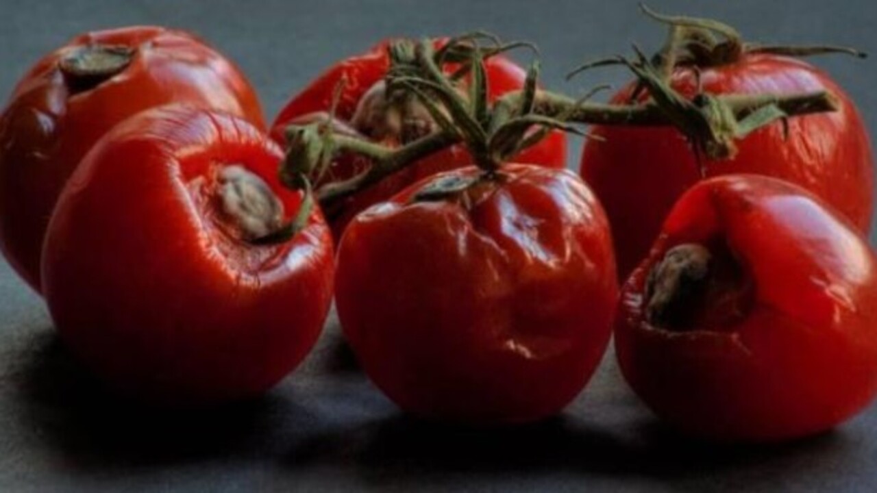 Öyle bir işe yarıyor ki..! Çürüyen domatesleri sakın çöpe atmayın