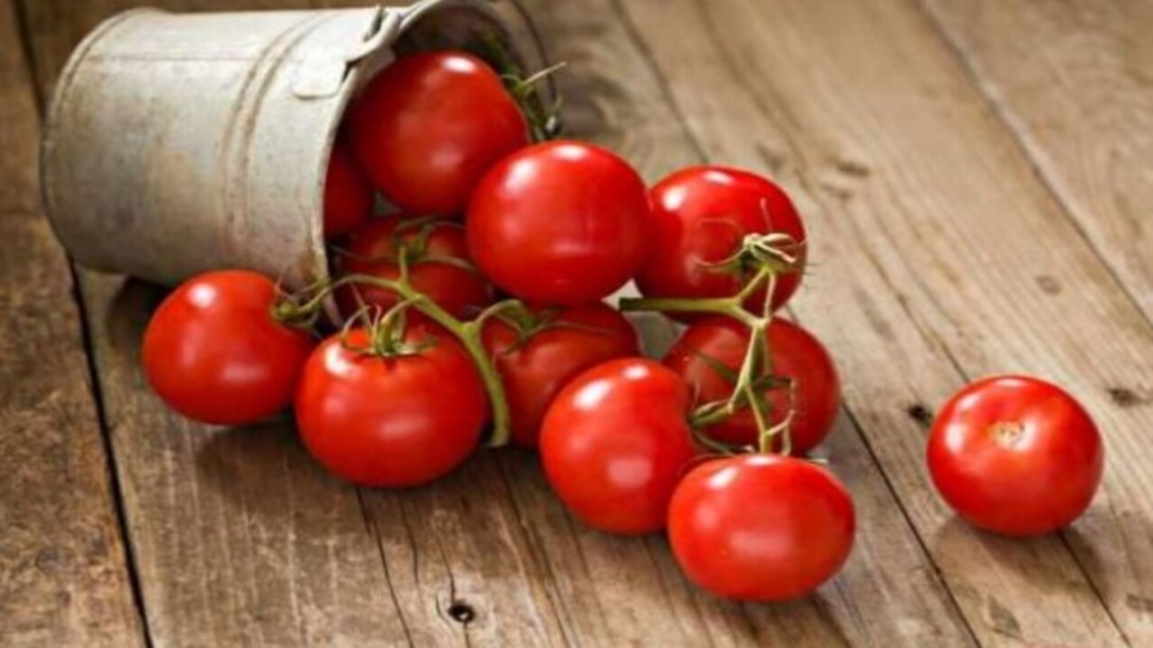 Foto - Öyle bir işe yarıyor ki..! Çürüyen domatesleri sakın çöpe atmayın