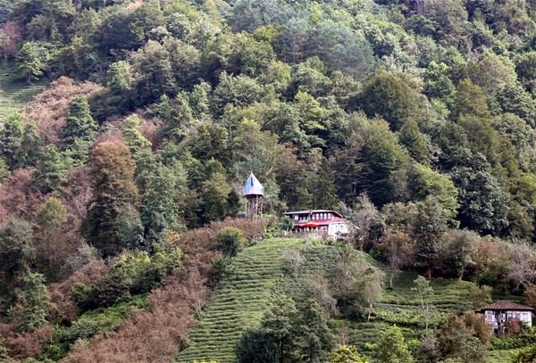 Öyle bir yere öyle bir ev yaptı ki... 