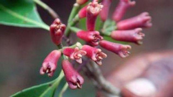 Foto - Öyle büyük bir şifa kaynağı ki...