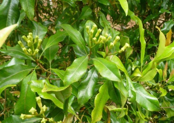 Foto - Öyle büyük bir şifa kaynağı ki...