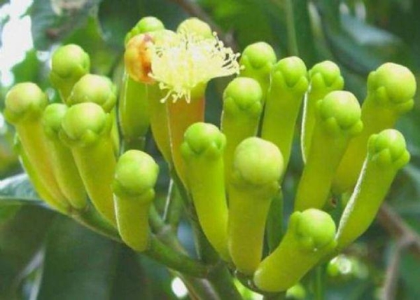 Foto - Öyle büyük bir şifa kaynağı ki...