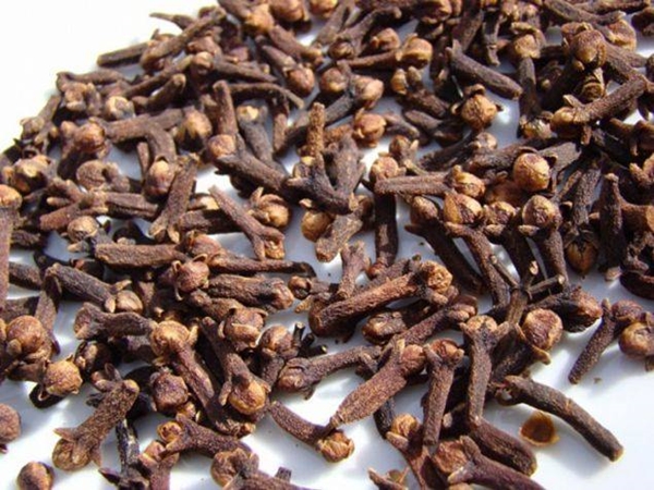 Foto - Öyle büyük bir şifa kaynağı ki...