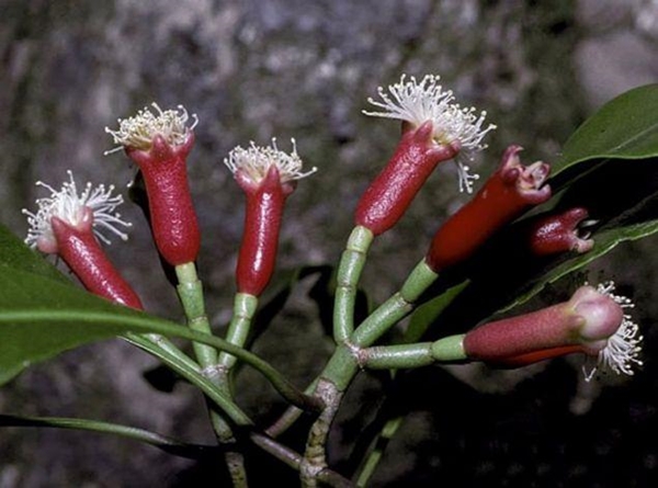 Foto - Öyle büyük bir şifa kaynağı ki...
