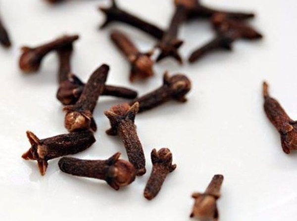 Foto - Öyle büyük bir şifa kaynağı ki...