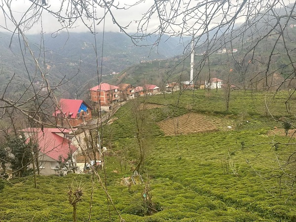 Foto - Öyle vaatler sıraladı ki... Bu muhtar başka muhtar