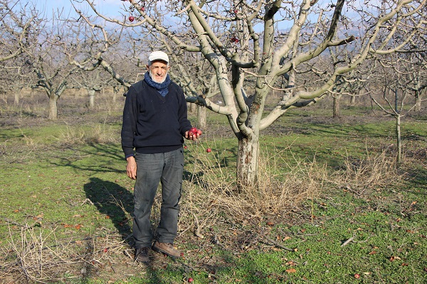 Foto - Oysa hasat 4 ay önce yapılmıştı! O ilimizde çiftçiler şaşkın