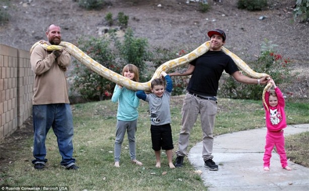 Foto - Oyuncak yerine yılanlarla oynuyorlar!