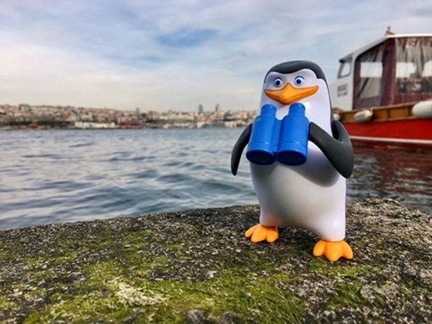 Foto - Oyuncaklarıyla dünyayı geziyor