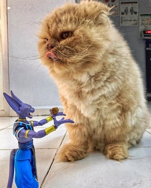 Foto - Oyuncaklarıyla dünyayı geziyor