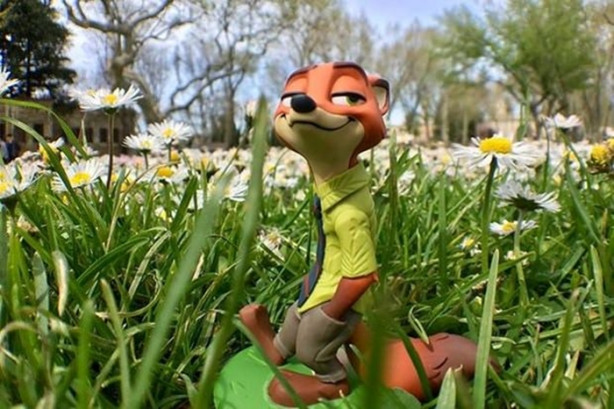 Foto - Oyuncaklarıyla dünyayı geziyor