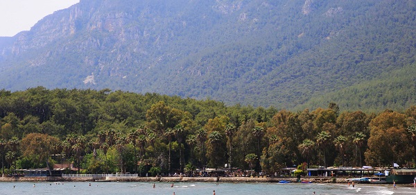 Foto - Oyunu kullanan oraya koştu 