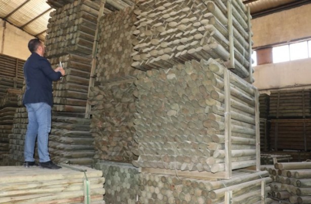 Foto - Özel bir bankada müdür yardımcılığını bıraktı! Hayalinin peşinden koştu ve herkesi şaşırttı