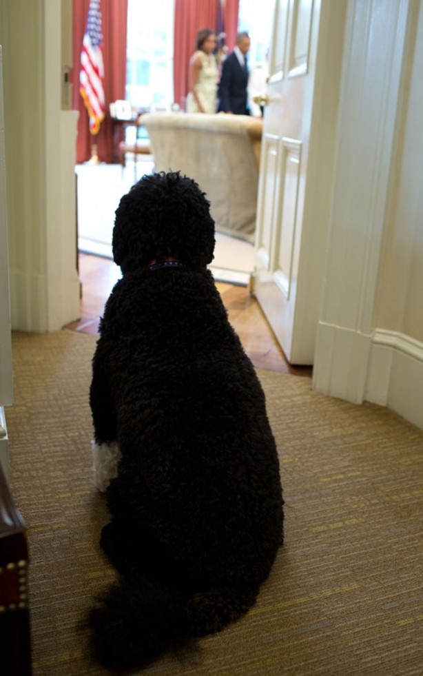 Foto - Özel görüntülerle Beyaz Saray'da 'Obama'