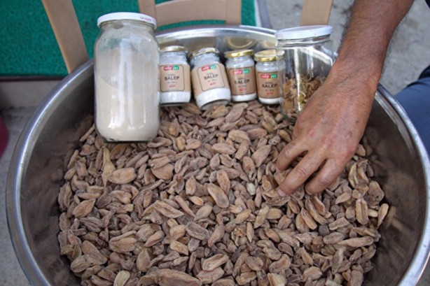 Özel izinle üretiliyor! Kurutulup öğütüldükten sonra kilogramı bin liradan satılıyor