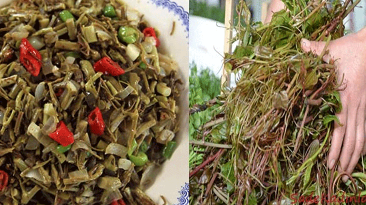 Foto - Özel olarak yetiştiriliyor! Kavurması şifa deposu!