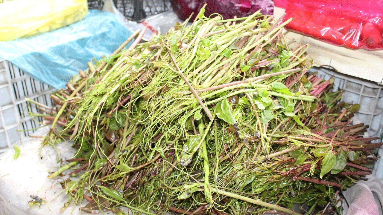 Foto - Özel olarak yetiştiriliyor! Kavurması şifa deposu!