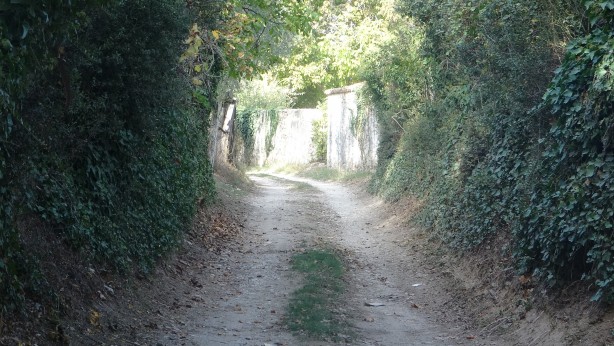 Özelliğini duyunca çok şaşıracaksınız! Bu yaylanın bir başka benzeri yok