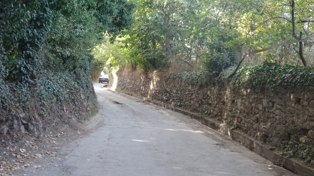 Foto - Özelliğini duyunca çok şaşıracaksınız! Bu yaylanın bir başka benzeri yok