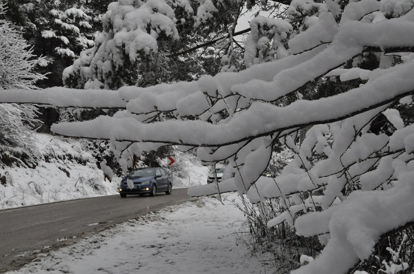 Foto - Özlem sona erdi! Ortaya bu tablo çıktı