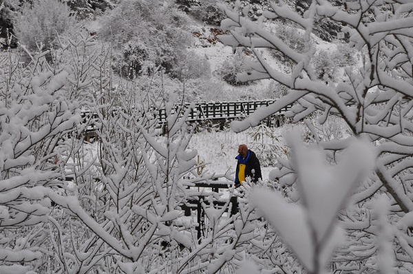 Foto - Özlem sona erdi! Ortaya bu tablo çıktı