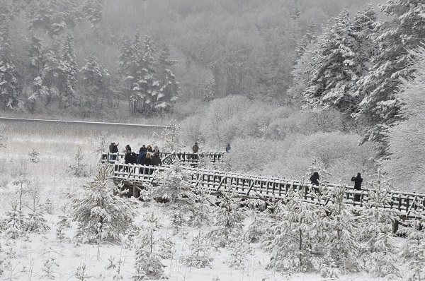 Foto - Özlem sona erdi! Ortaya bu tablo çıktı