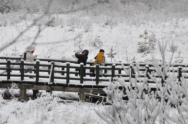 Foto - Özlem sona erdi! Ortaya bu tablo çıktı
