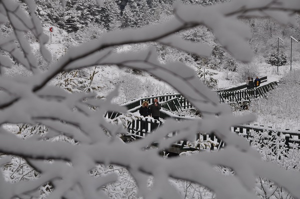 Foto - Özlem sona erdi! Ortaya bu tablo çıktı